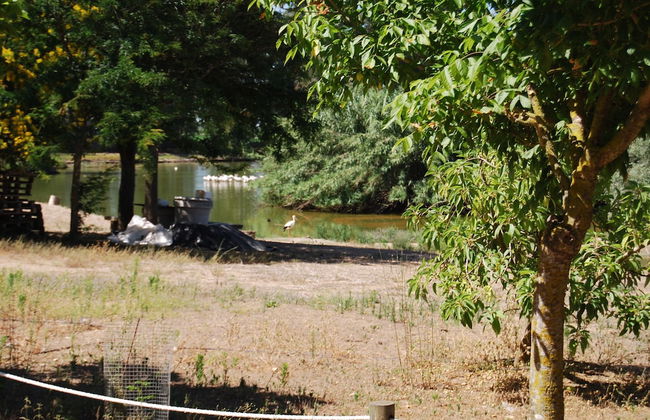 Vivienda Rural el Retorno - Foto 51