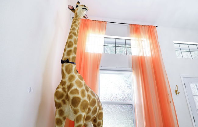 Graffiti and Glam Wonderland - Foto 34