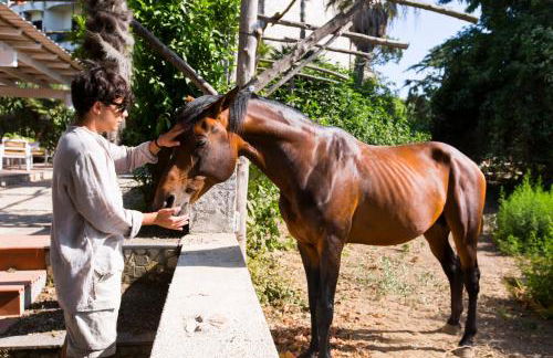 Appartamento in Villa con Terrazzo e Vista Golfo - Foto 41