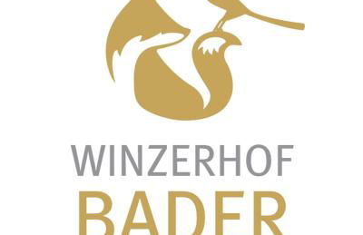 Gästehaus Winzerhof Bader - Foto 24