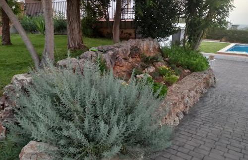 The Villarosa - Photo 41