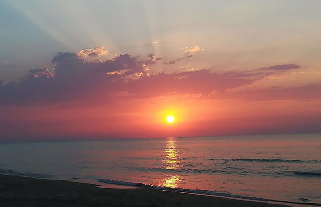 Viola Club Village - Photo 79