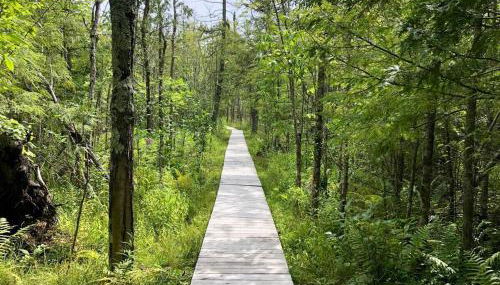 Schoolhouse Lake Retreat with Free Pontoon - Foto 4