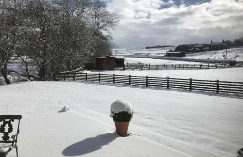 Homely Northumbrian Getaway - Foto 10