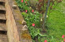 Ferienhaus - Kern - Foto 70