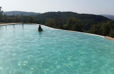 Finca El Chaparral - Foto 17