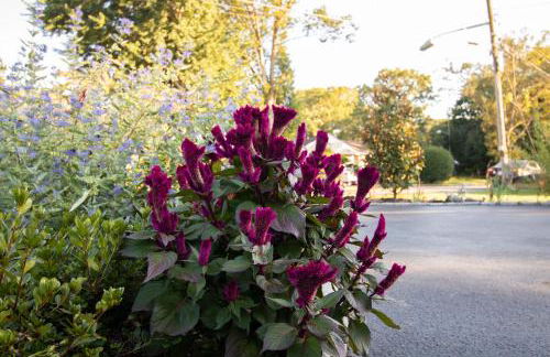 Exceptional & Central, Garden Suite, Top Amenities & Care! - Foto 44