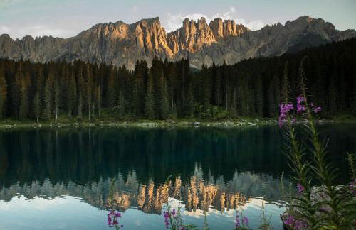 COSTALUNGAHOUSE TrekkingBikeSki selfcheck-in apartment - Foto 69