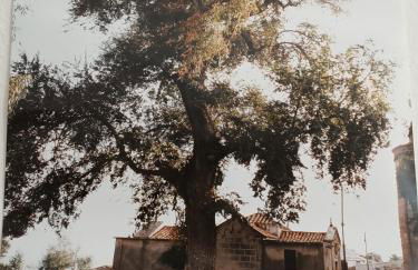 il telaio sardo Bonarcado - Foto 33