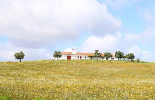 Monte do Arneiro - Foto 57