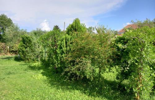 KOSTAS APARTMENTS - Foto 38