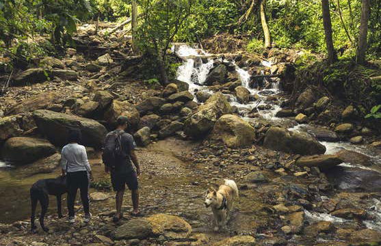 Escursione alla cascata Chorro de las Campanas - Foto 13