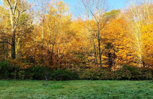 Mountain Farmhouse (The Lorca, Catskills) - Foto 13