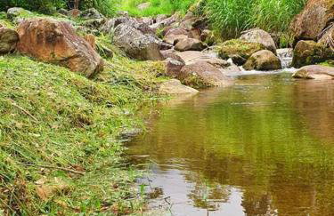 Paraíso na Serra pra Relaxar - Foto 12