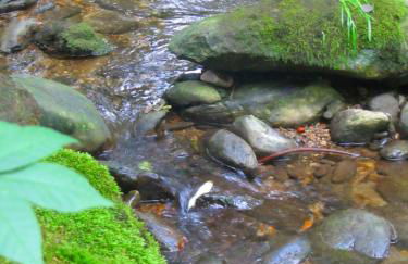 Haus Sonnenhang - Foto 40