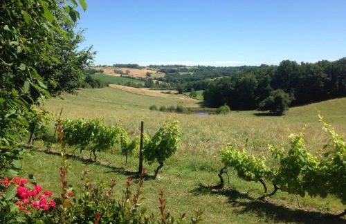 Gîte de Raoussou - Foto 8