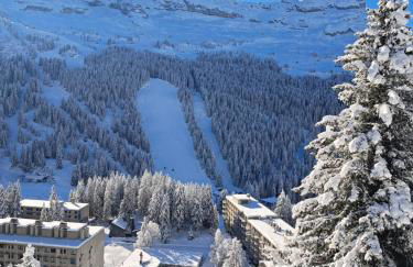 La spatule - Photo 1