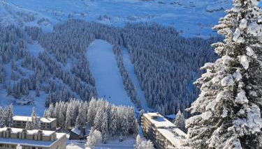 La spatule - Photo 1