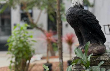 Apartamento aconchegante - Sesc Bertioga dentro de Pousada Lemon - Foto 8