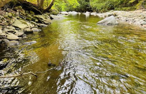 Geodome 1min to Smuggler's Notch with hot tub & River - Foto 13