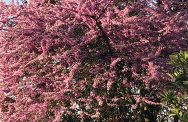 Residenza Ambrogi - Foto 22