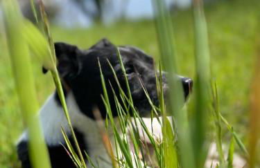 Etna 1928 Country House - Foto 44