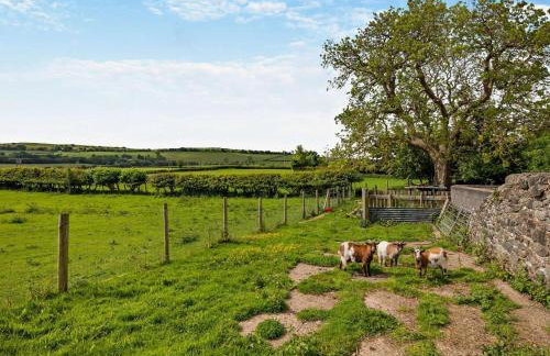 3 Bed in Denbigh oc-93994 - Foto 47