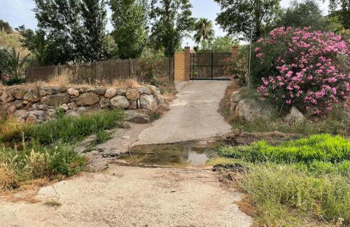 Authentic Luxury Villa in Oasis with Pool close to Malaga - Foto 47