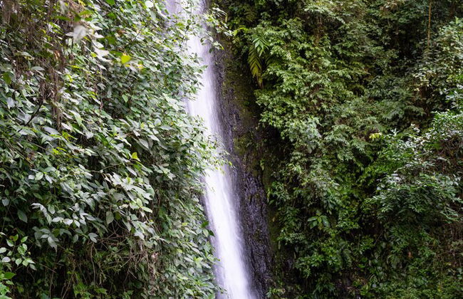 Casa de campo Los Yungas - Photo 41