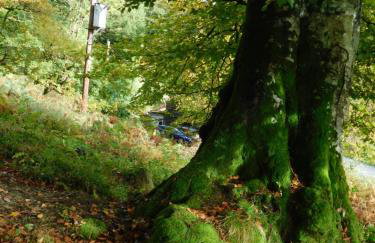 Red Dragon Cottages nr Mt Snowdon - Photo 67