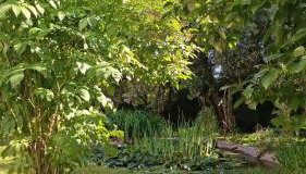 A due passi dal lago - Photo 3, Garden