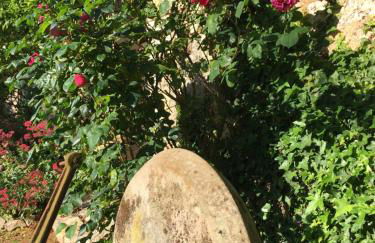 Gites dans les Champs - Foto 47