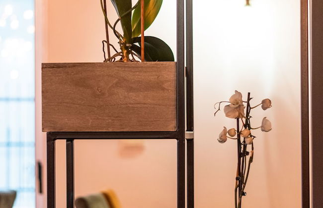 Apartaments Queen - Foto 22