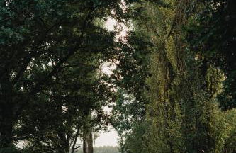 Apartament w XIX-wiecznym Spichlerzu nad Jeziorem z dostępem do parku i widokiem na Dworek Modrzewiowy z 1823 roku - Foto 55