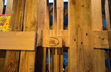 Igły i szyszki - Foto 20