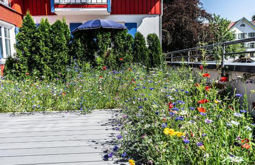 Allgäu-Idyll - Photo 6