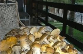 Apartament w Supraślu - Foto 19