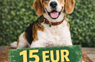 Kurpark Suites Bad Aibling - Foto 6