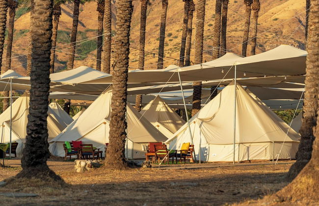 Mia Glamping Kinneret - Foto 19