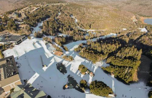 Cozy Condo at Summit - Foto 51