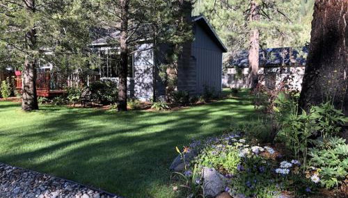 Tahoe Cottage perfect for couples and outdoor enthusiasts - Photo 1, Garden view