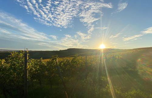 Ferienwohnung am Weinberg - Foto 11