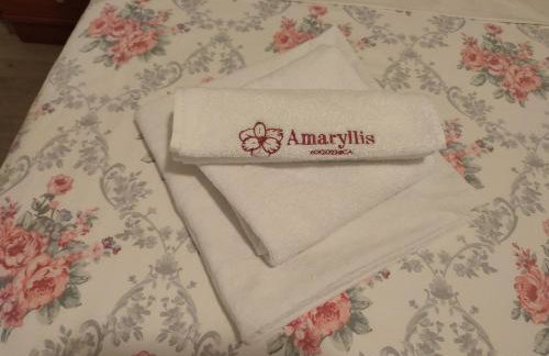 Amaryllis - Photo 22