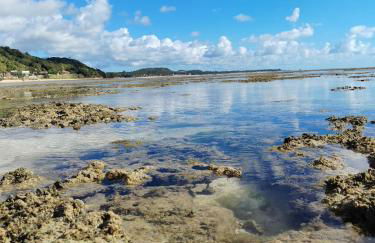 Villa Naluri C103 - Casa Auati - 2 quartos com Vista Mar em Japaratinga - Foto 25