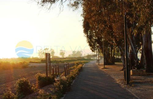 Llevantada - Casa en Poblenou del Delta con piscina privada y barbacoa - Foto 29