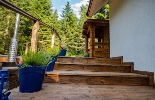 Chata Pod Lasem - Foto 28