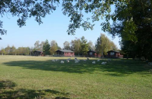 Spacious Cottage With Sauna Looking out on Astonishing Grasslands - Photo 84