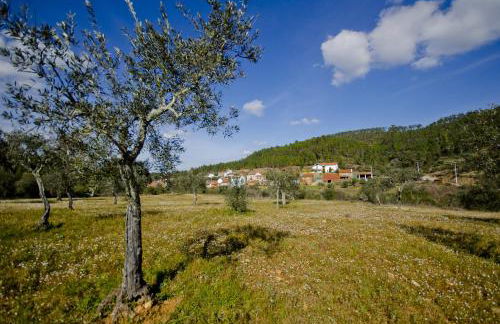 Xisto Sentido - Foto 34