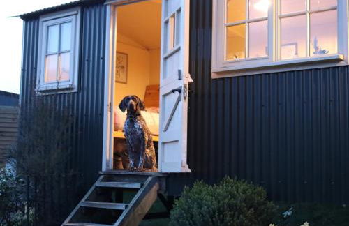 1 Bed in Llandyfan 65190 - Foto 8