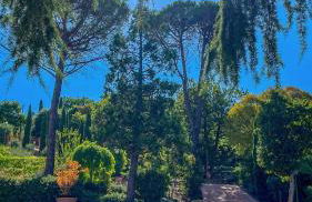 Casa dei Tramonti - Photo 20